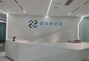 雷鳥新能源