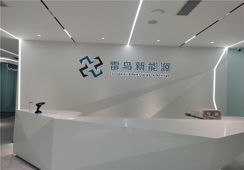 雷鳥新能源